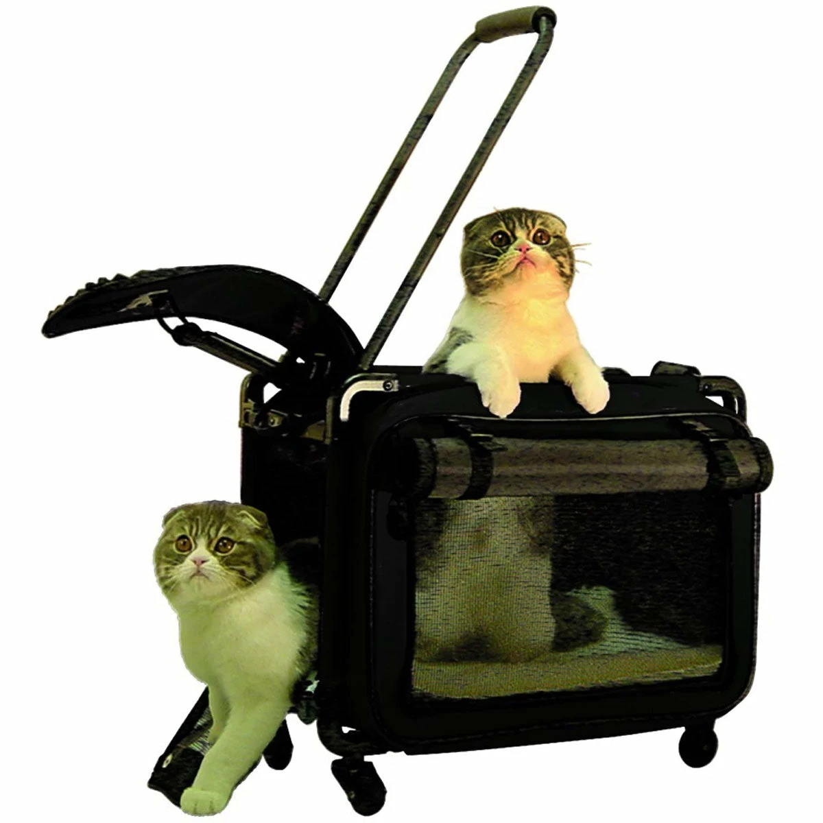Tutto Small Pet On Wheels 1 Tutto Small Pet On Wheels