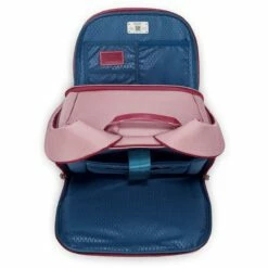 Delsey Chatelet Air 2.0 Backpack 26 Delsey Chatelet Air 2.0 Backpack -suitcase sale delsey chatelet air 2.0 40167660109 05